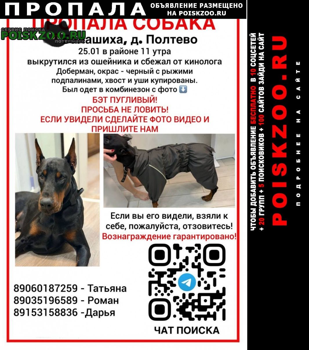 ���� ������� ������ ������