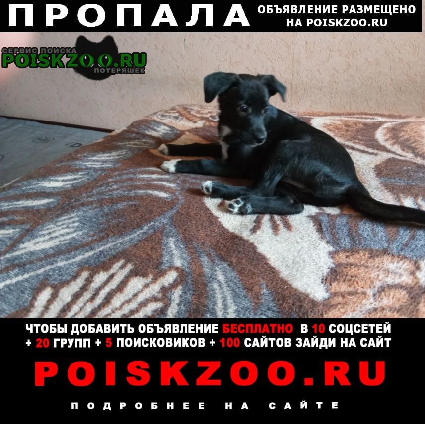 ���� ������� ������ �������. ������. ������