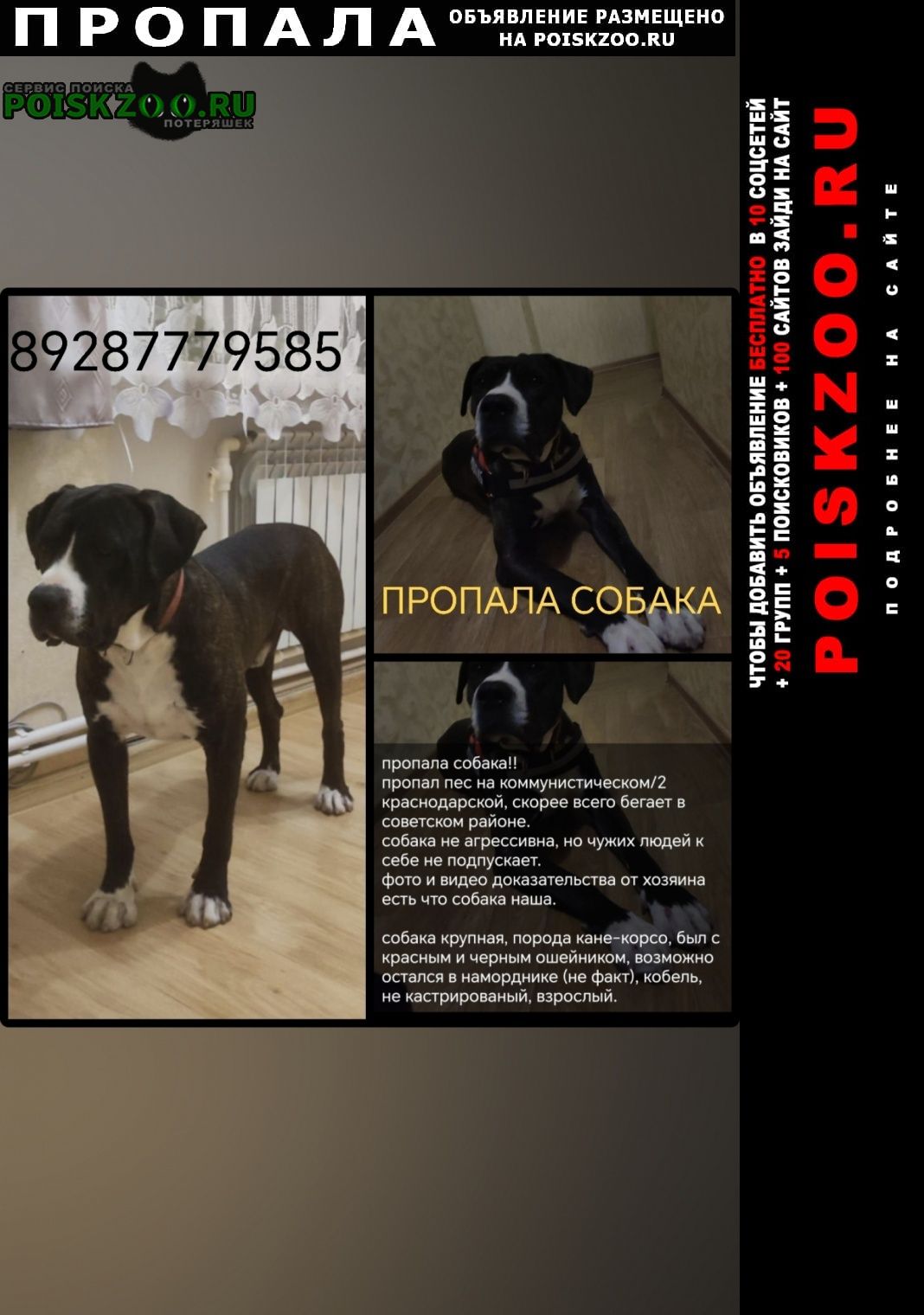 ���� ������� ������ ������ ������ � ������ 2025�