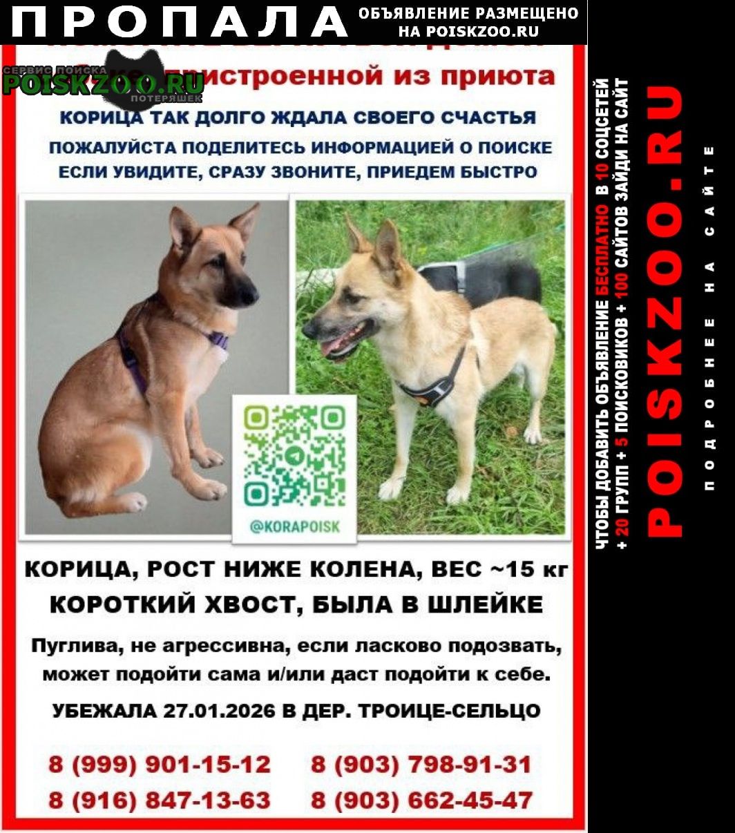 ���� ������� ������ ����������� �����