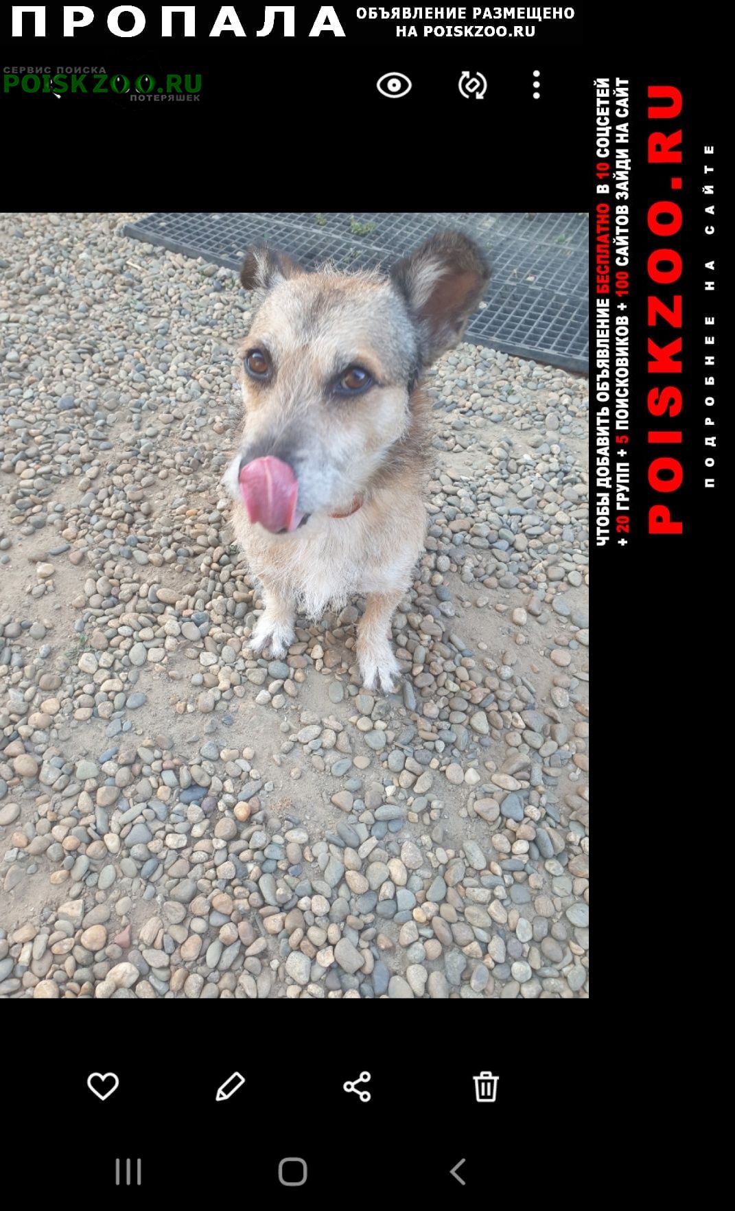 ���� ������� ������ ������