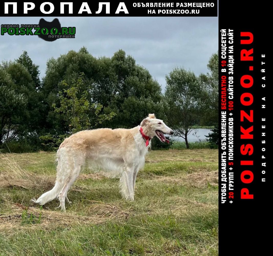 ���� ������� ������ ������� ������ ������ ���