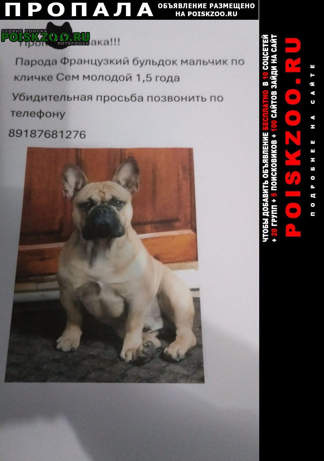 ���� ������� ������ ������