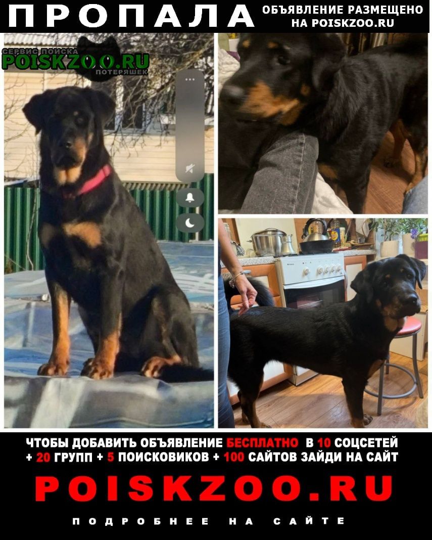 ���� ������� ������ ������ ������ /������/