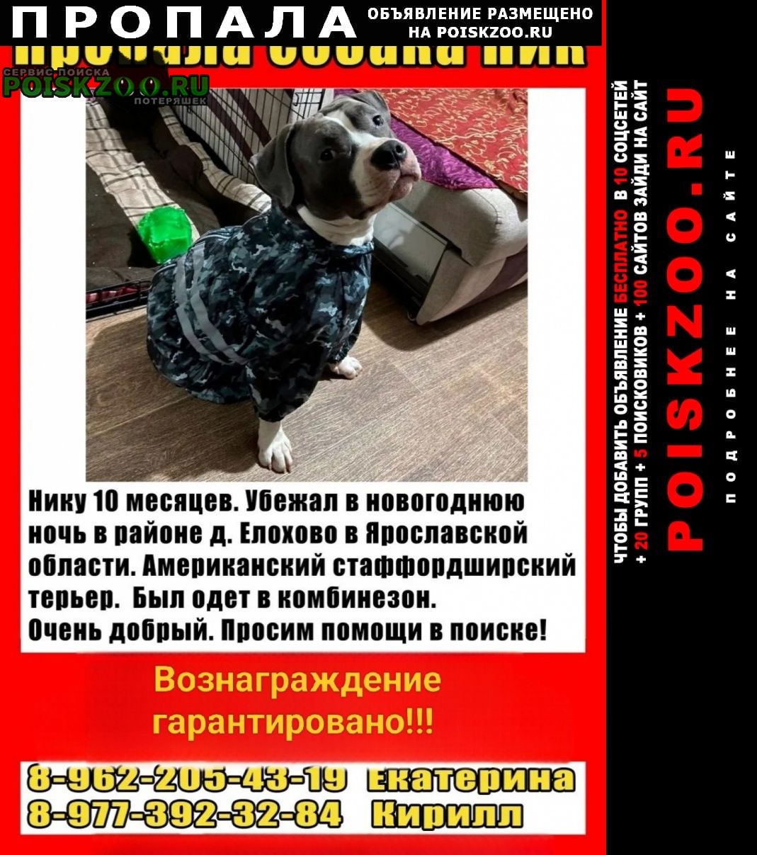 ���� ������� ������ ������ ������ ������������.