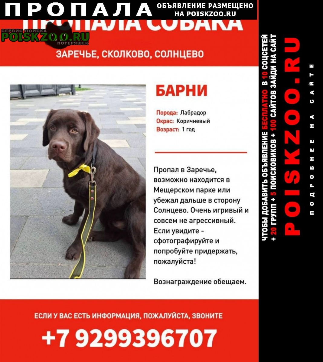 ���� ������� ������ ������