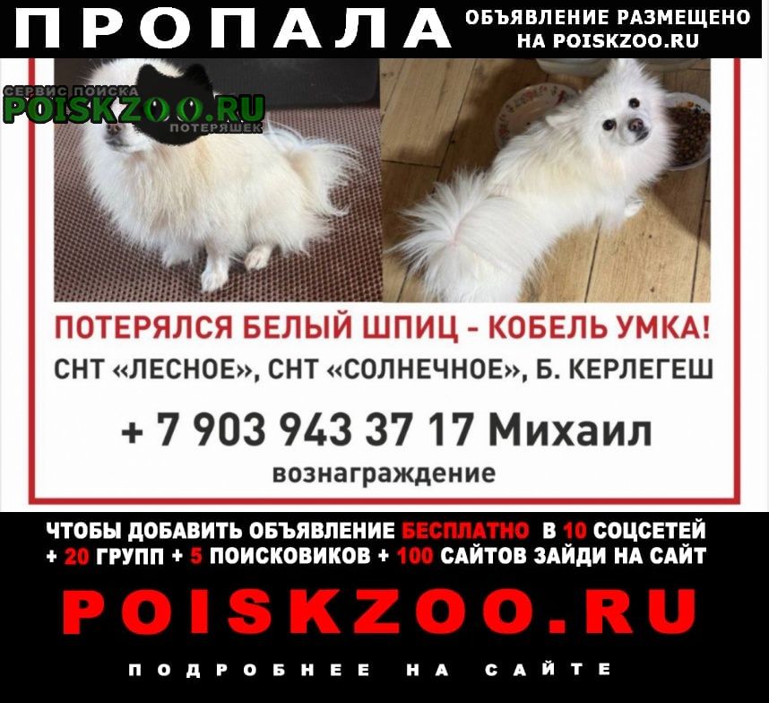 ���� ������� ������ ������