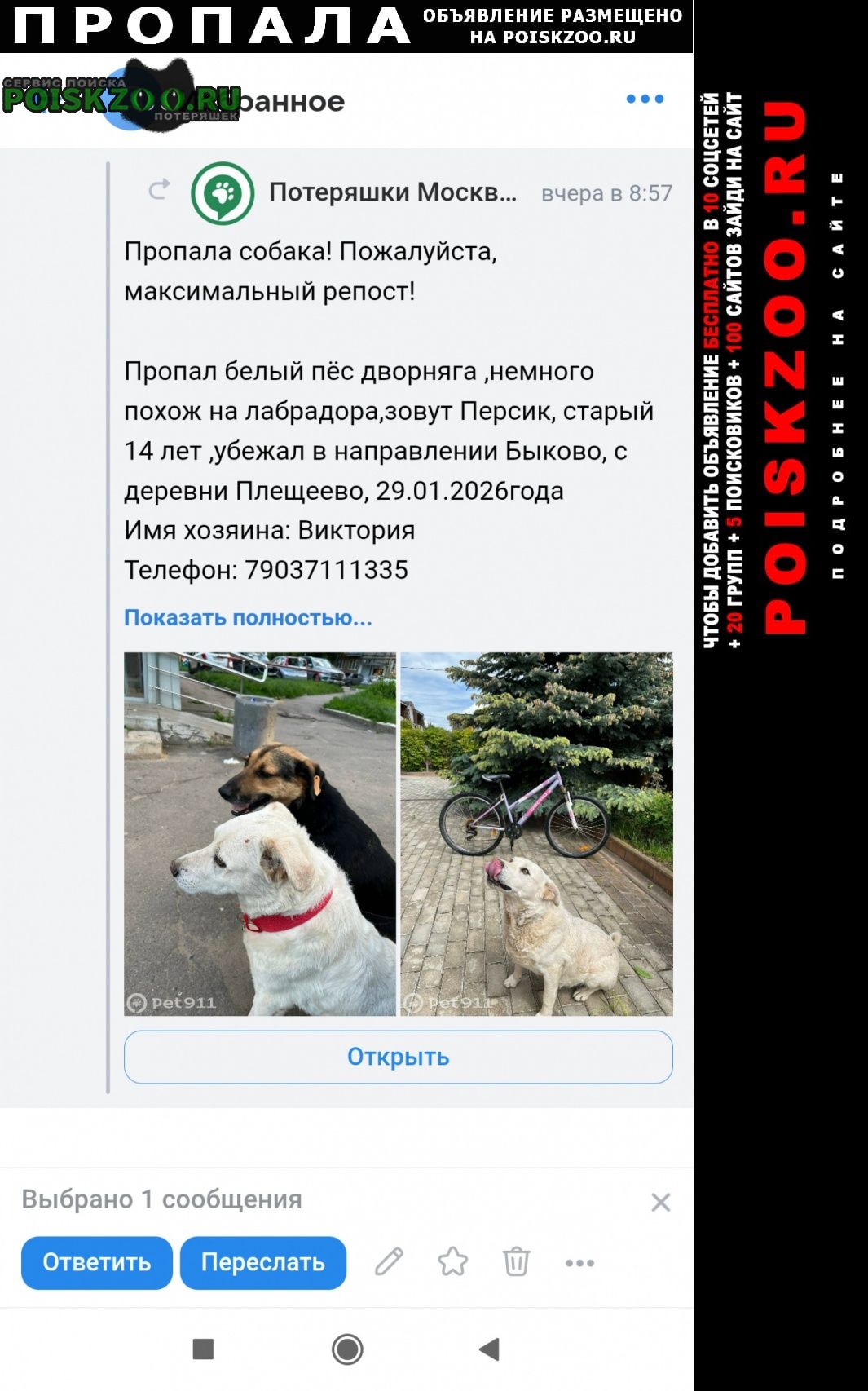 ���� ������� ������ ��������, ����� � �������