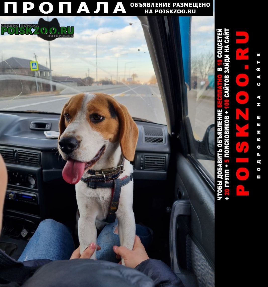 ���� ������� ������ ������