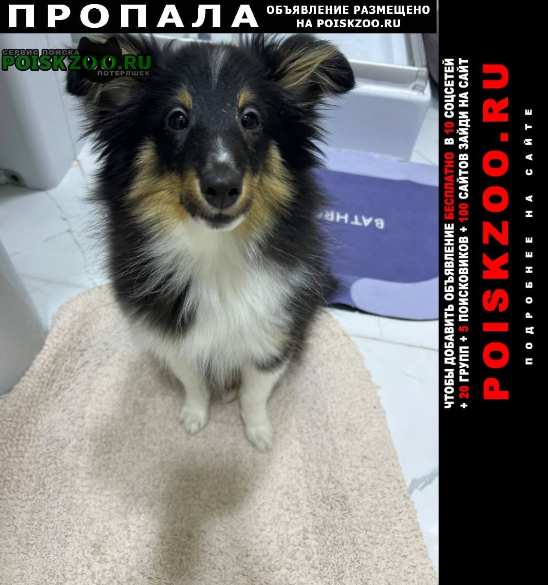 ���� ������� ������ ����� �����