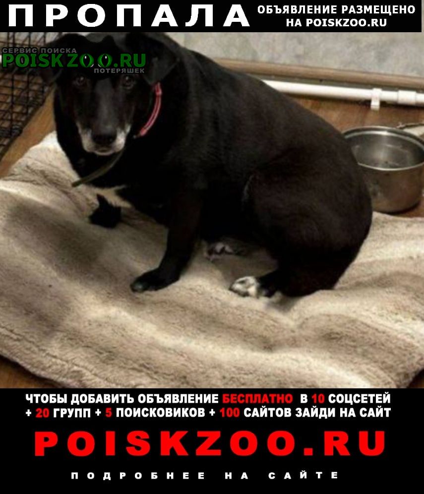 ���� ������� ������ �� ������ ������ �����