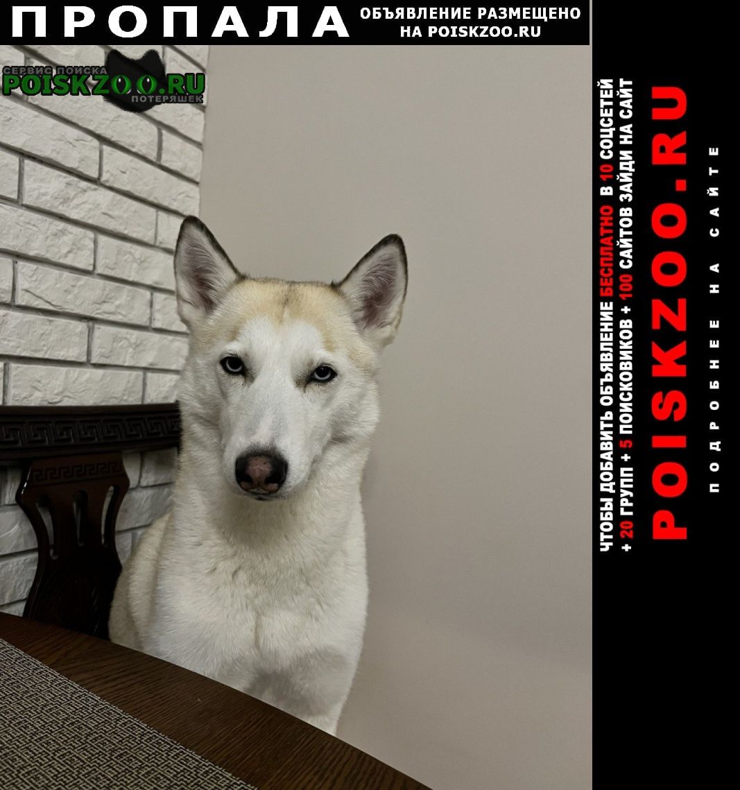 ���� ������� ������