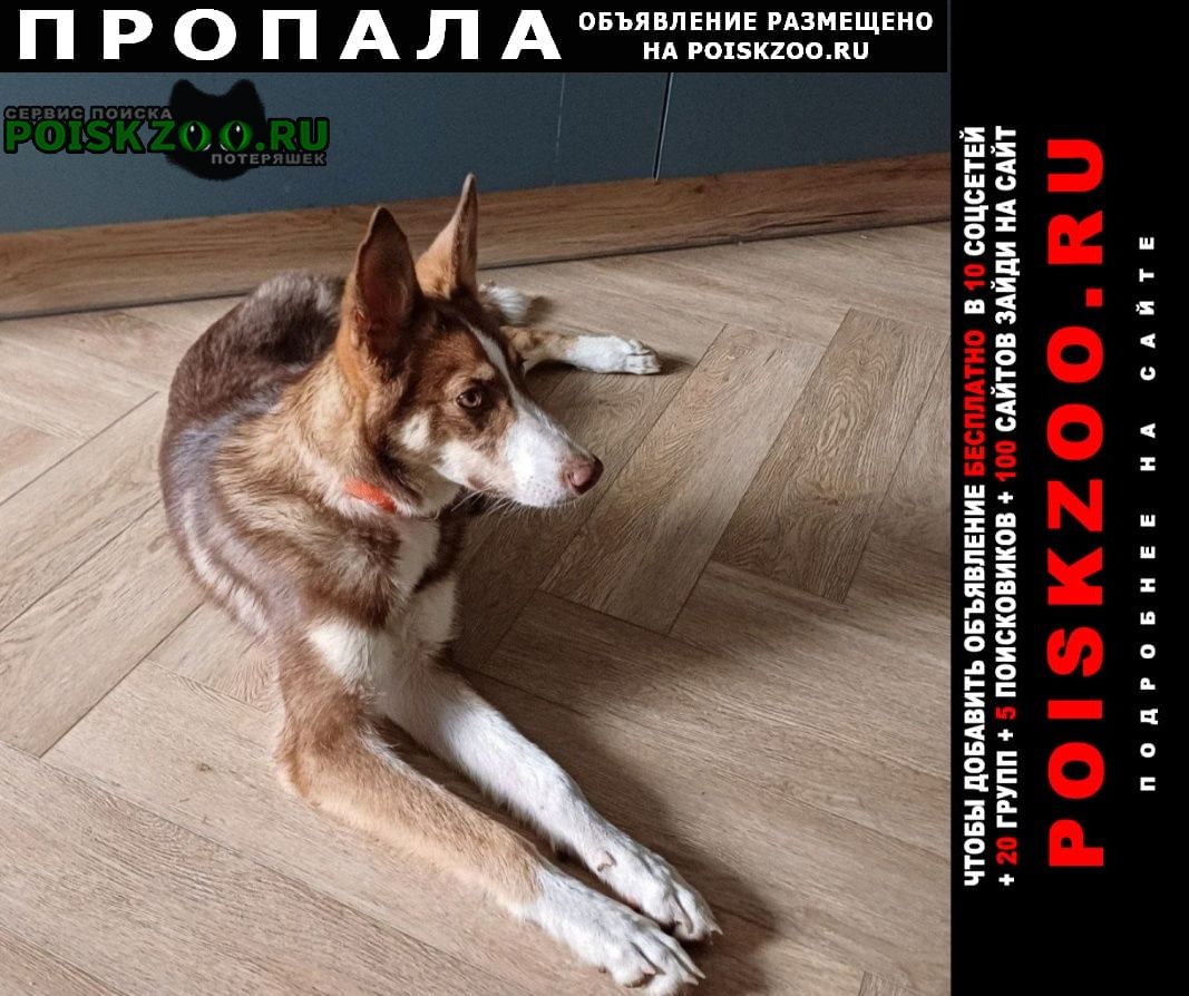 ���� ������� ������