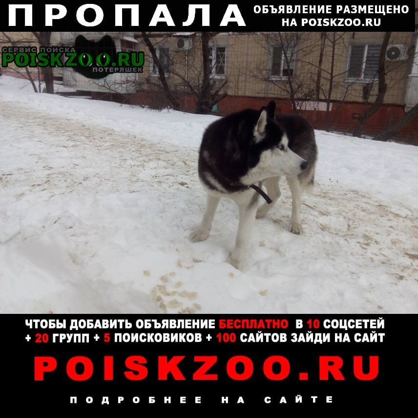 ���� ������� ������ ������ ����� ����������, � �� ��������