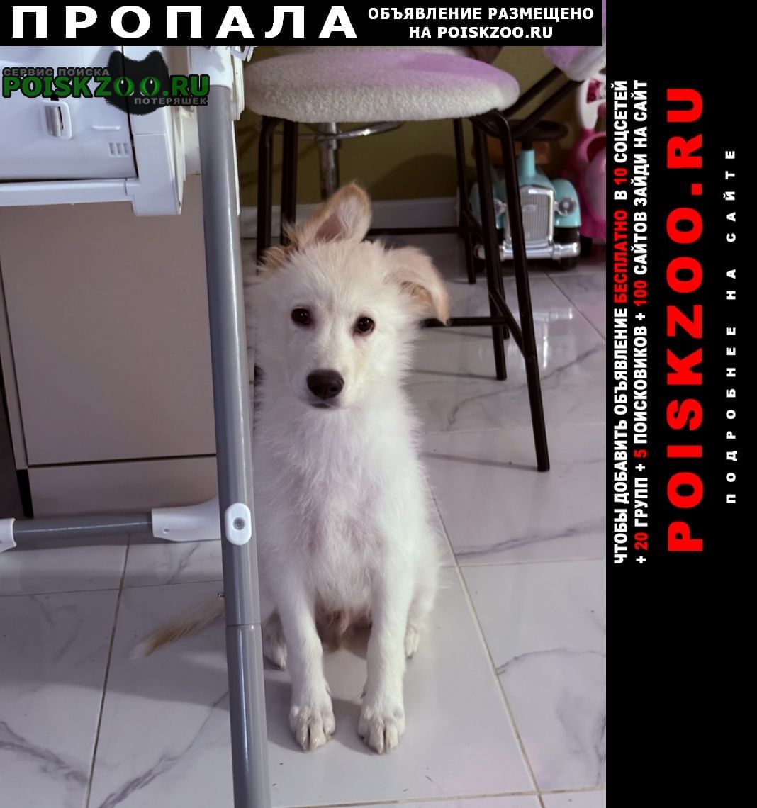 ���� ������� ������ ������ �����