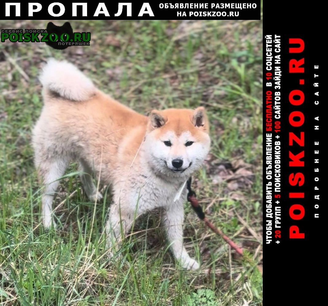 ���� ������� ������ ��������