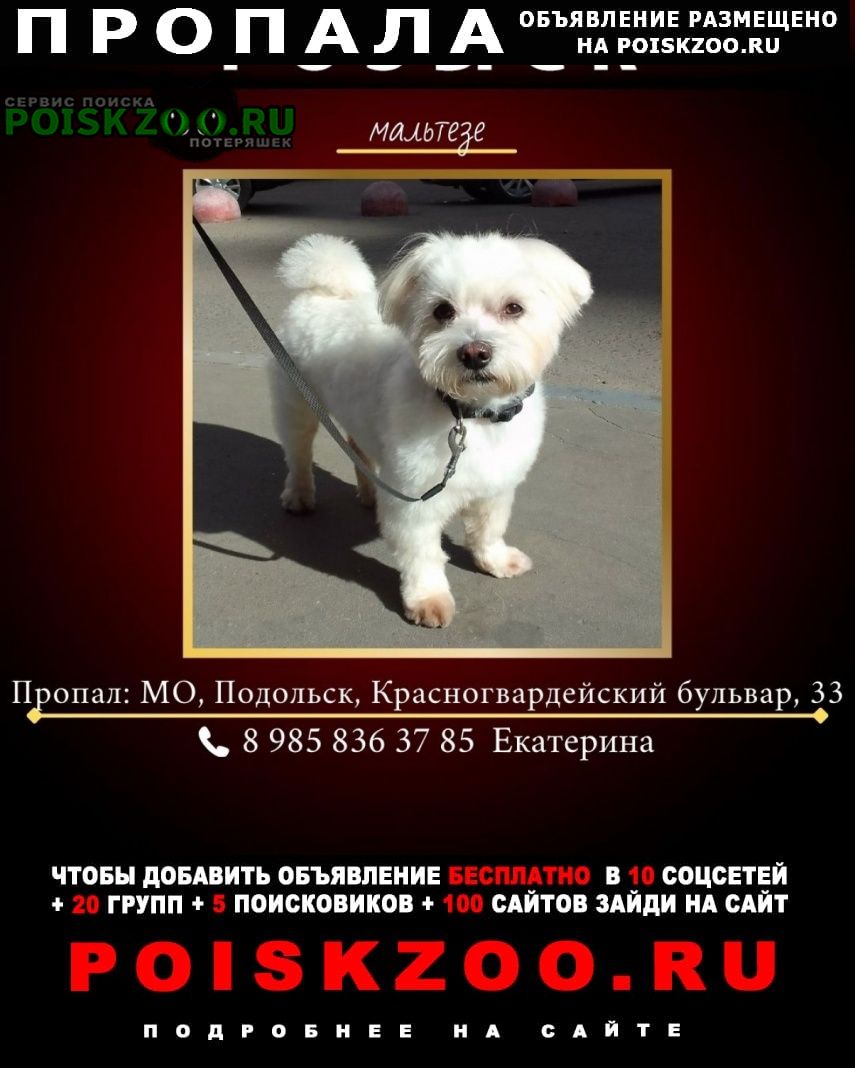 ���� ������� ������ ������