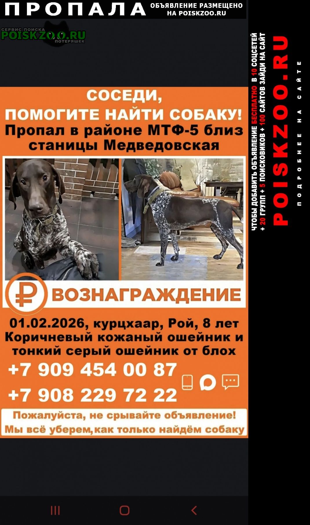 ���� ������� ������ ������ ������ ��������.