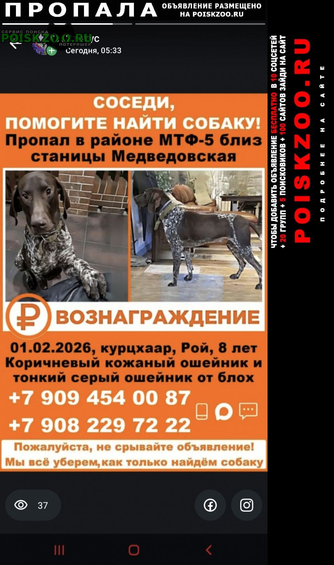 ���� ������� ������ ������ ������ ��������