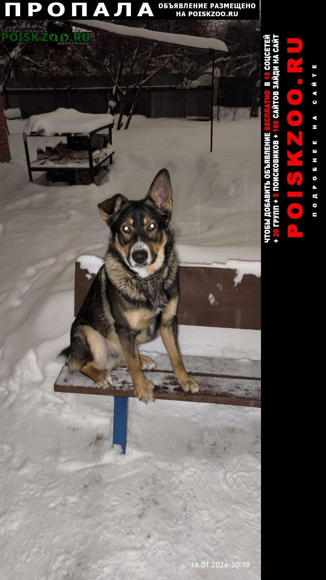 ���� ������� ������ ������