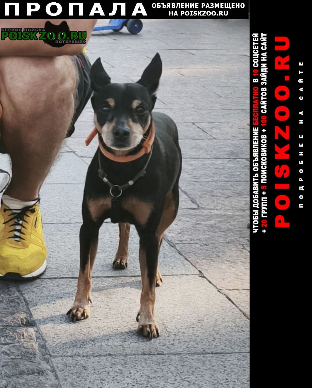 ���� ������� ������ ������ �����������