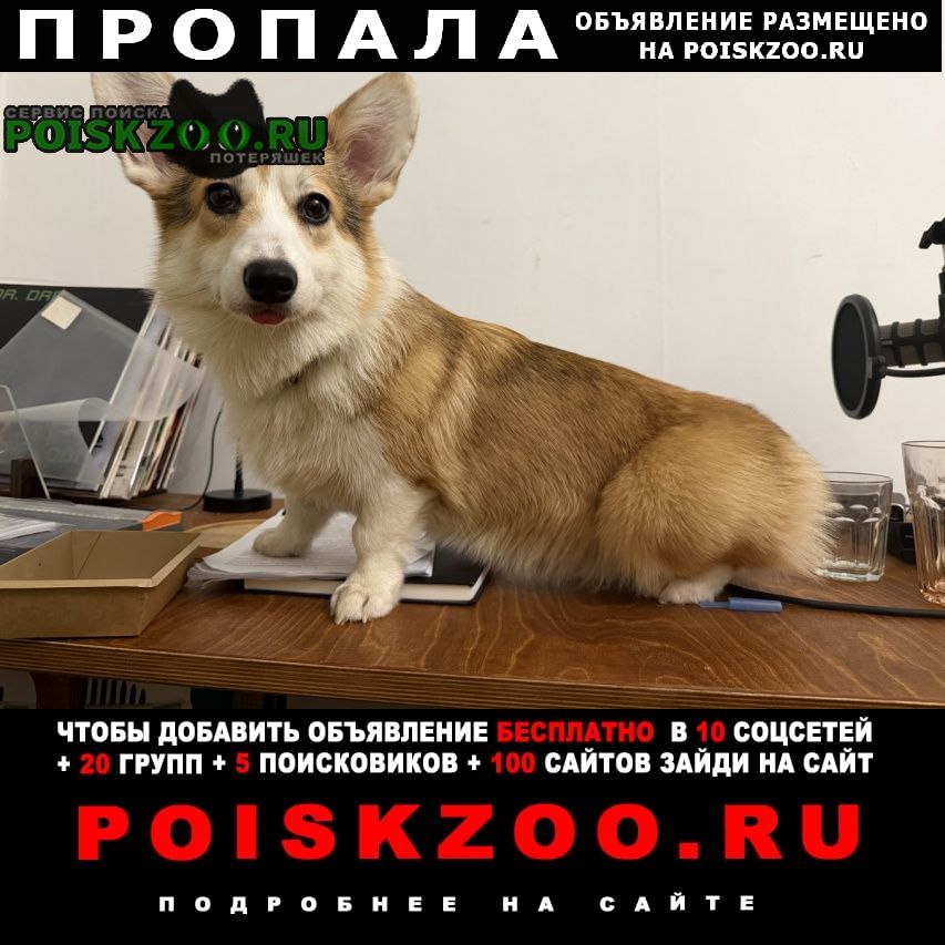 ���� ������� ������