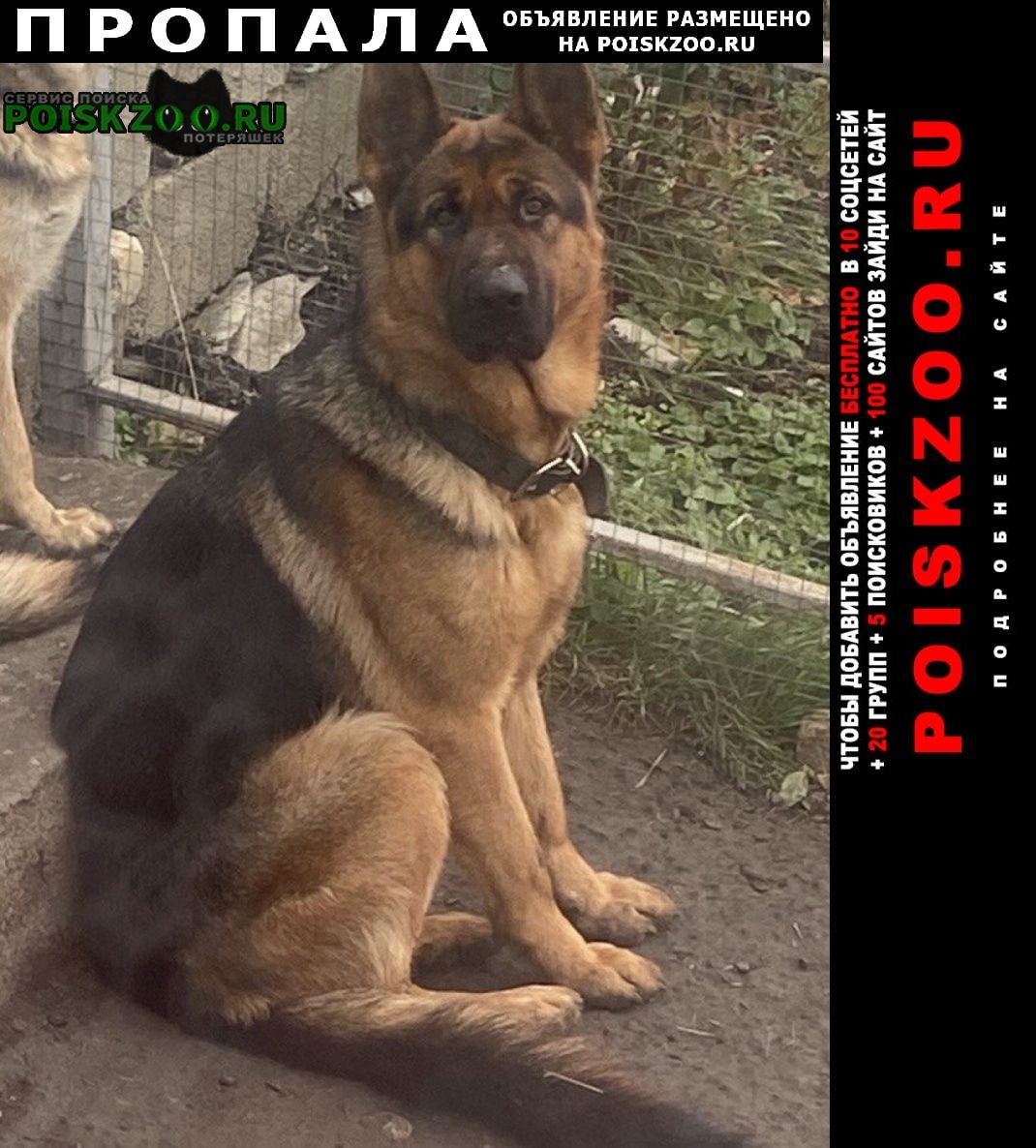 ���� ������� ������ ������