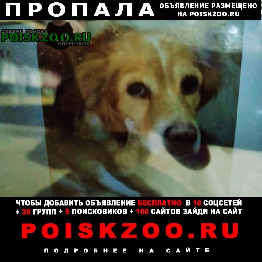 ���� ������� ������ ������ � ��������� ������