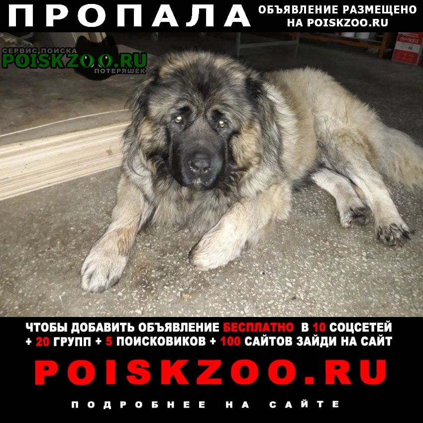 ���� ������� ������ ������