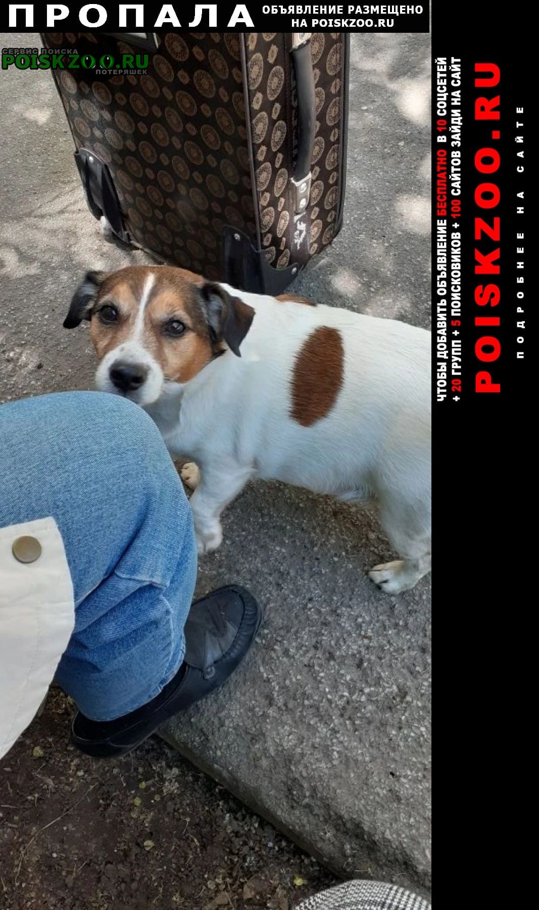 ���� ������� ������ ������ ���� ������