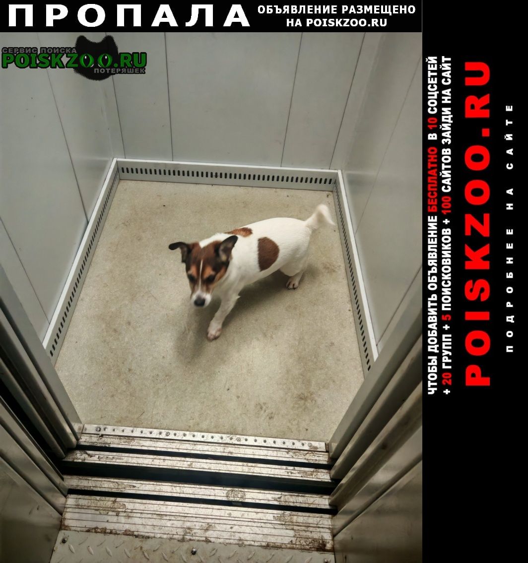 ���� ������� ������ ������ ���� ������