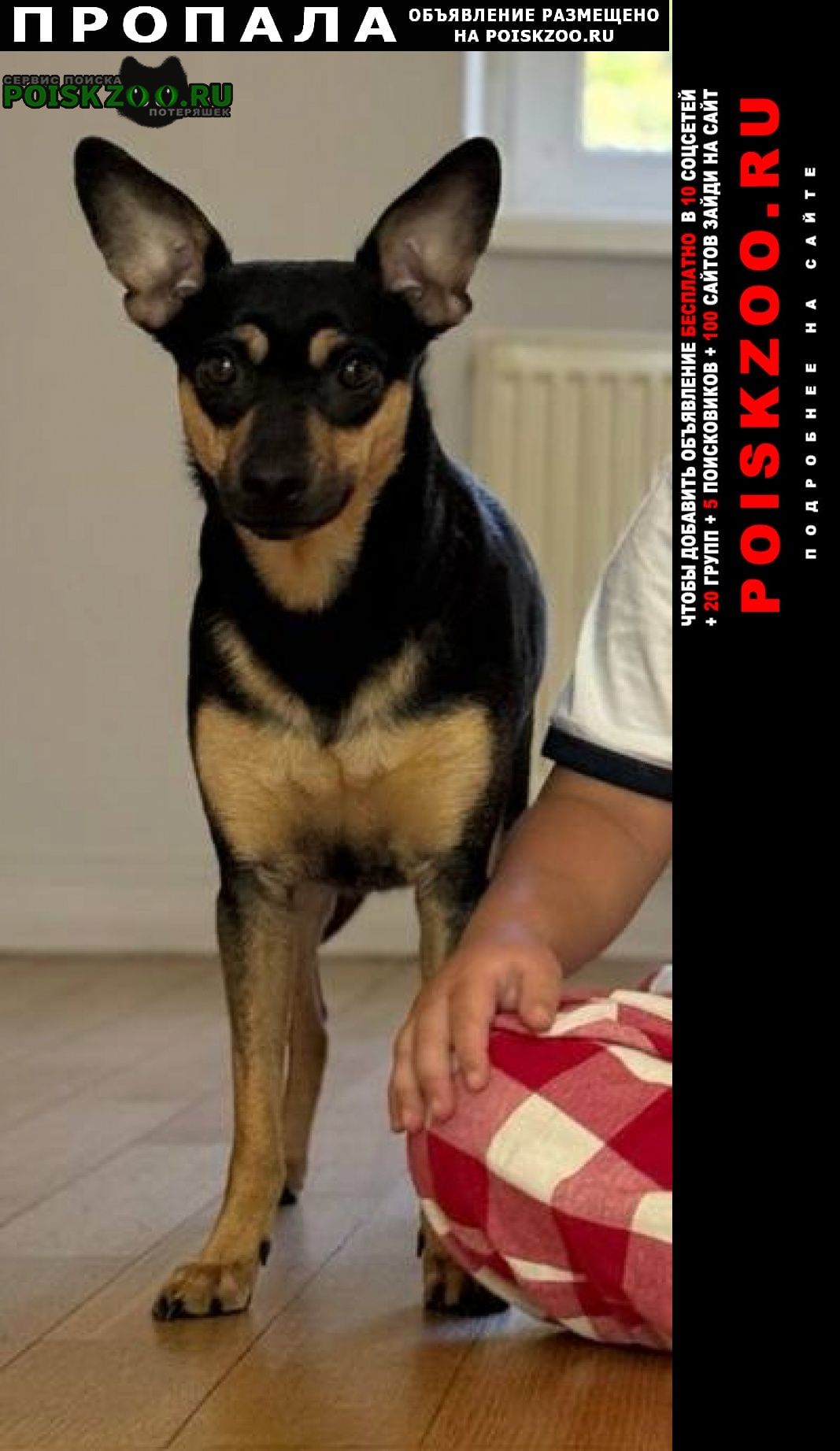 ���� ������� ������