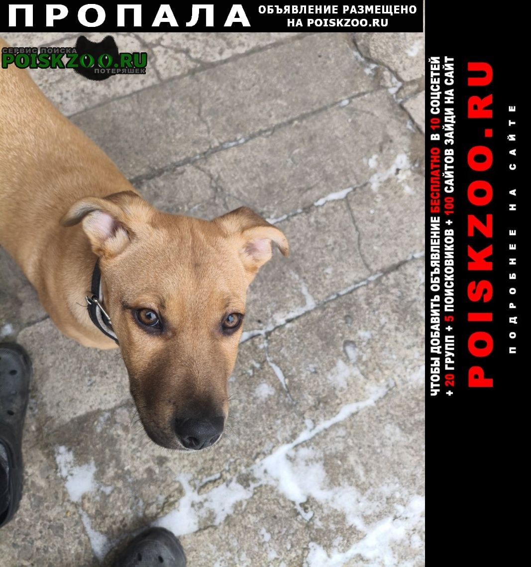 ���� ������� ������ ������ ������ ������