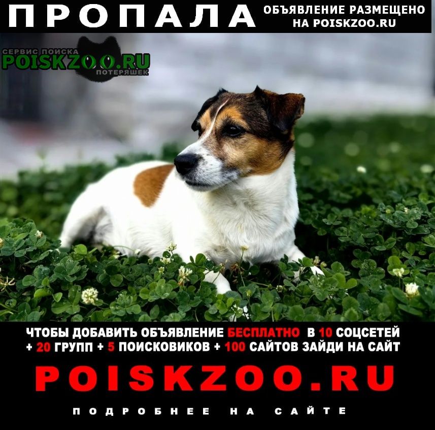 ���� ������� ������ ������ ���� ������