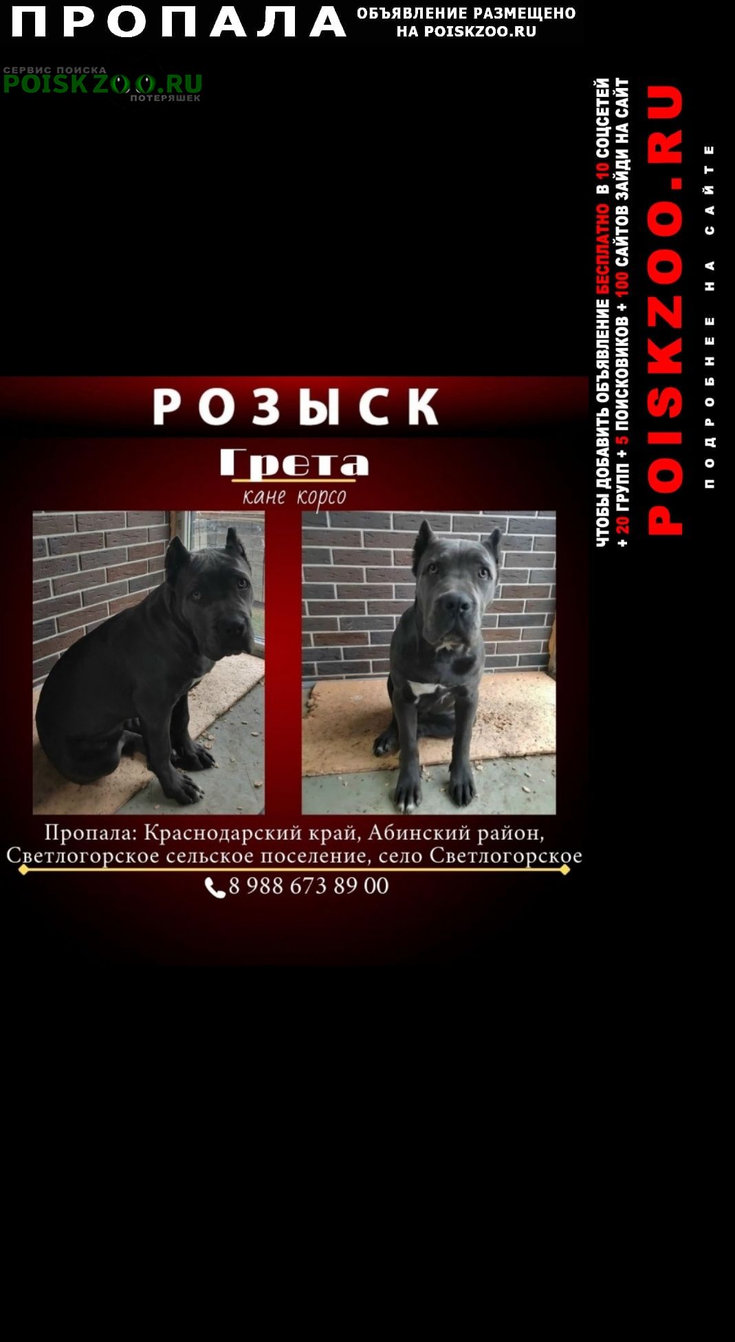 ���� ������� ������ �������, ���� �����