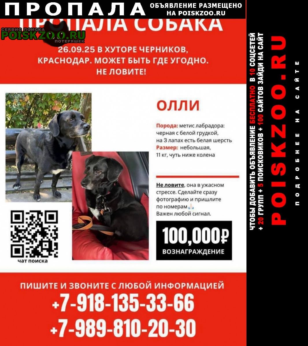 ���� ������� ������