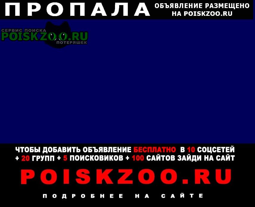 ���� ������� ������ ������ �������� ����� ������