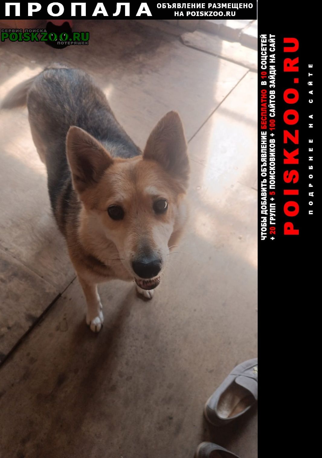 ���� ������� ������