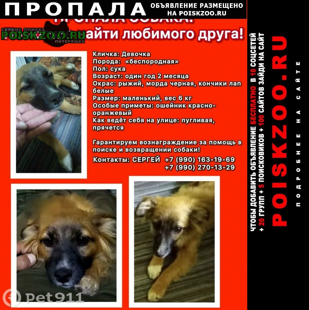 ���� ������� ������ ����������, ������������