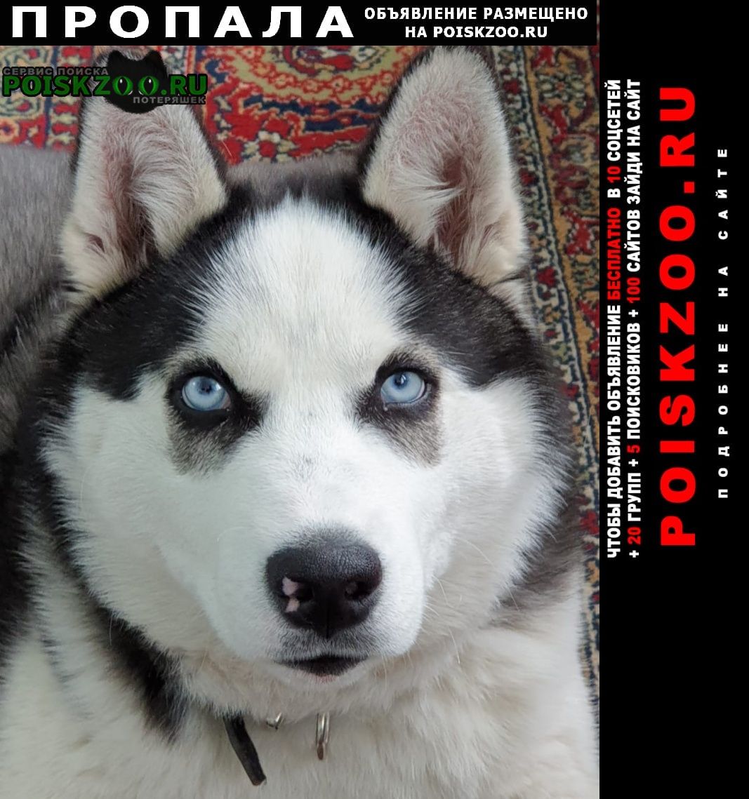 ���� ������� ������ ������ �����.