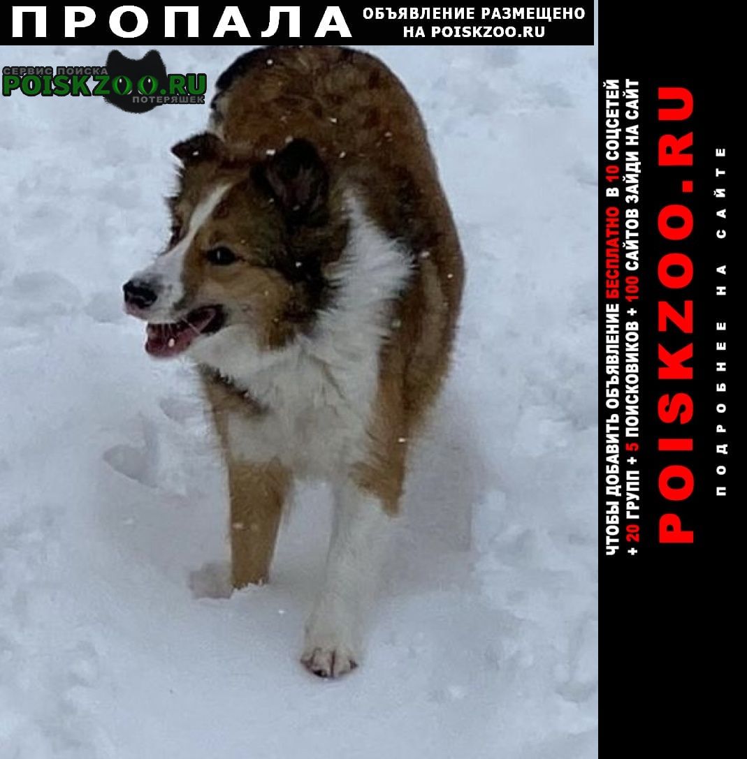 ���� ������� ������ ������-�����