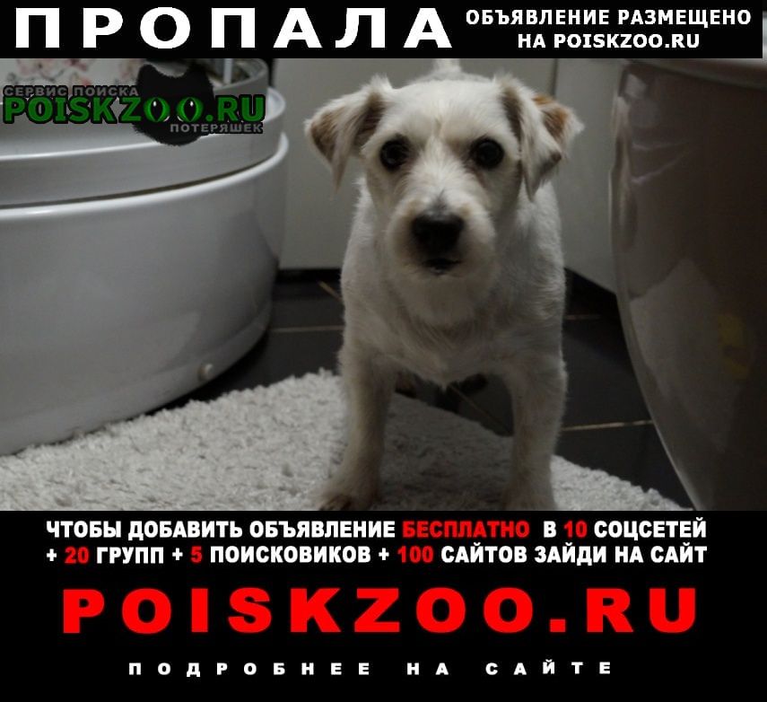 ���� ������� ������ �������������� 50. 000