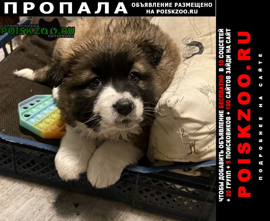 ���� ������� ������ ����� 2 ������ �. �����, ���������