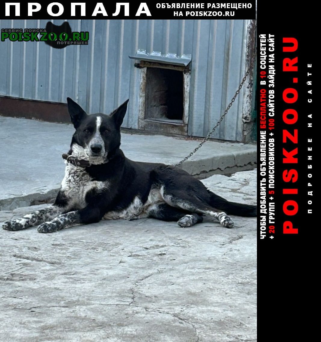 ���� ������� ������