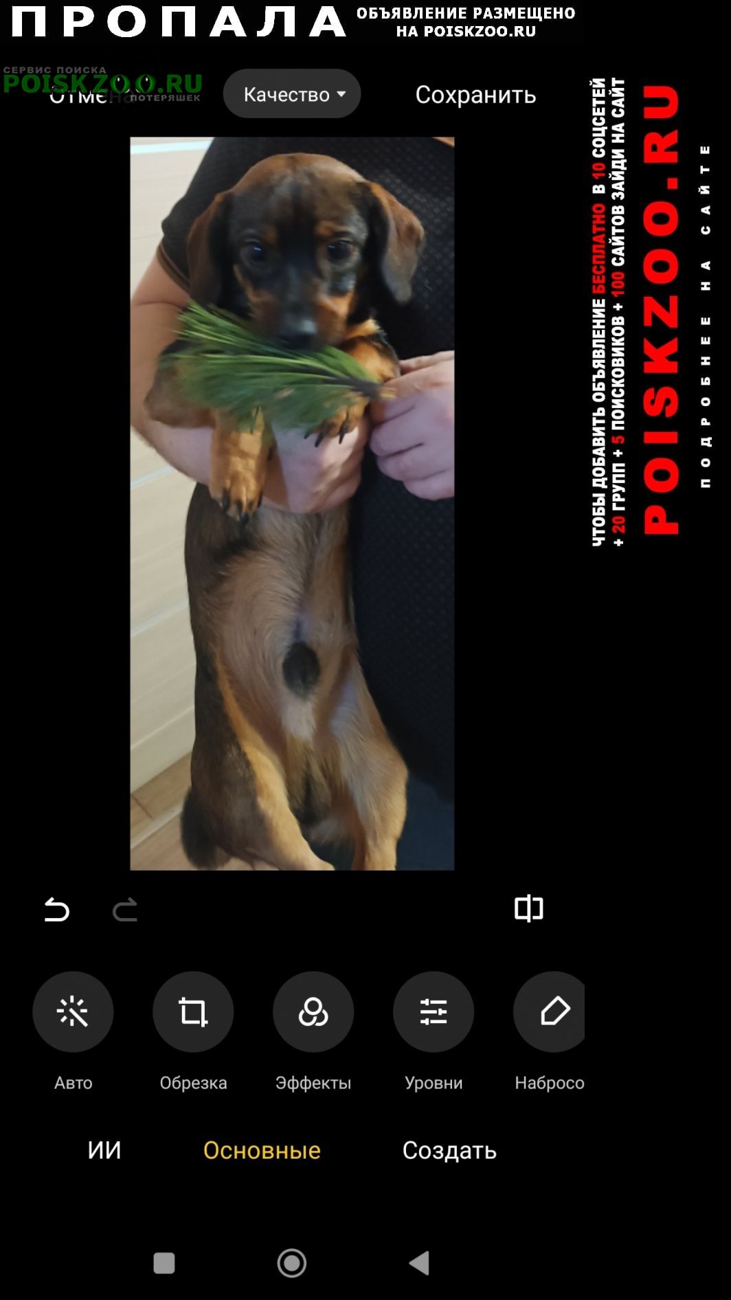 ���� ������� ������ ������