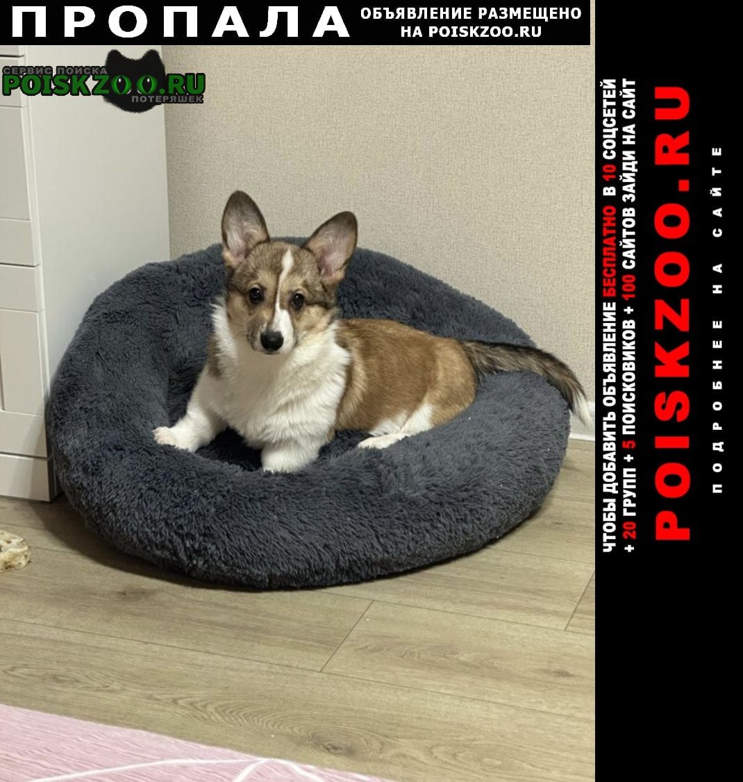 ���� ������� ������