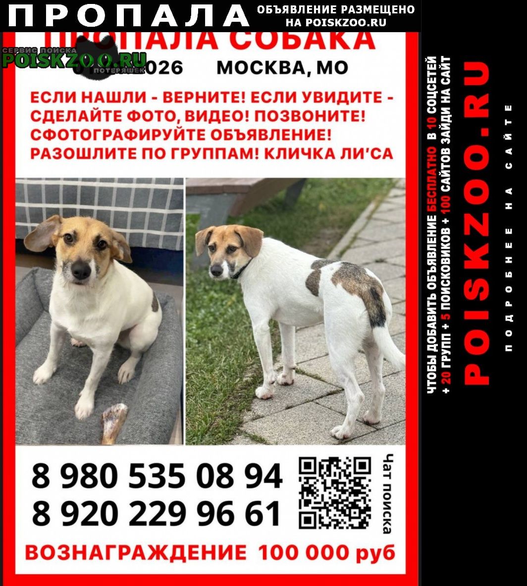 ���� ������� ������ ������ ������ ���� �����.