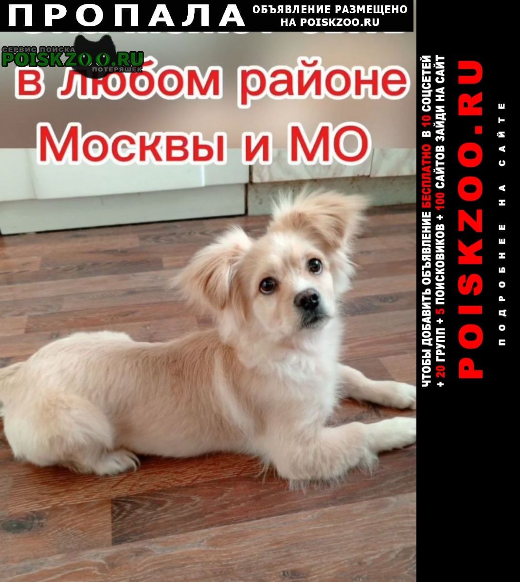 ���� ������� ������ ����� ���� � ����� ������ ������