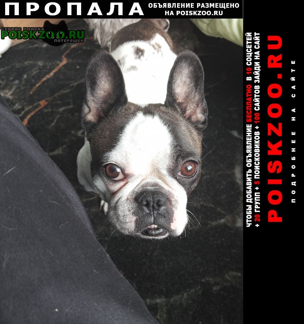 ���� ������� ������ ����