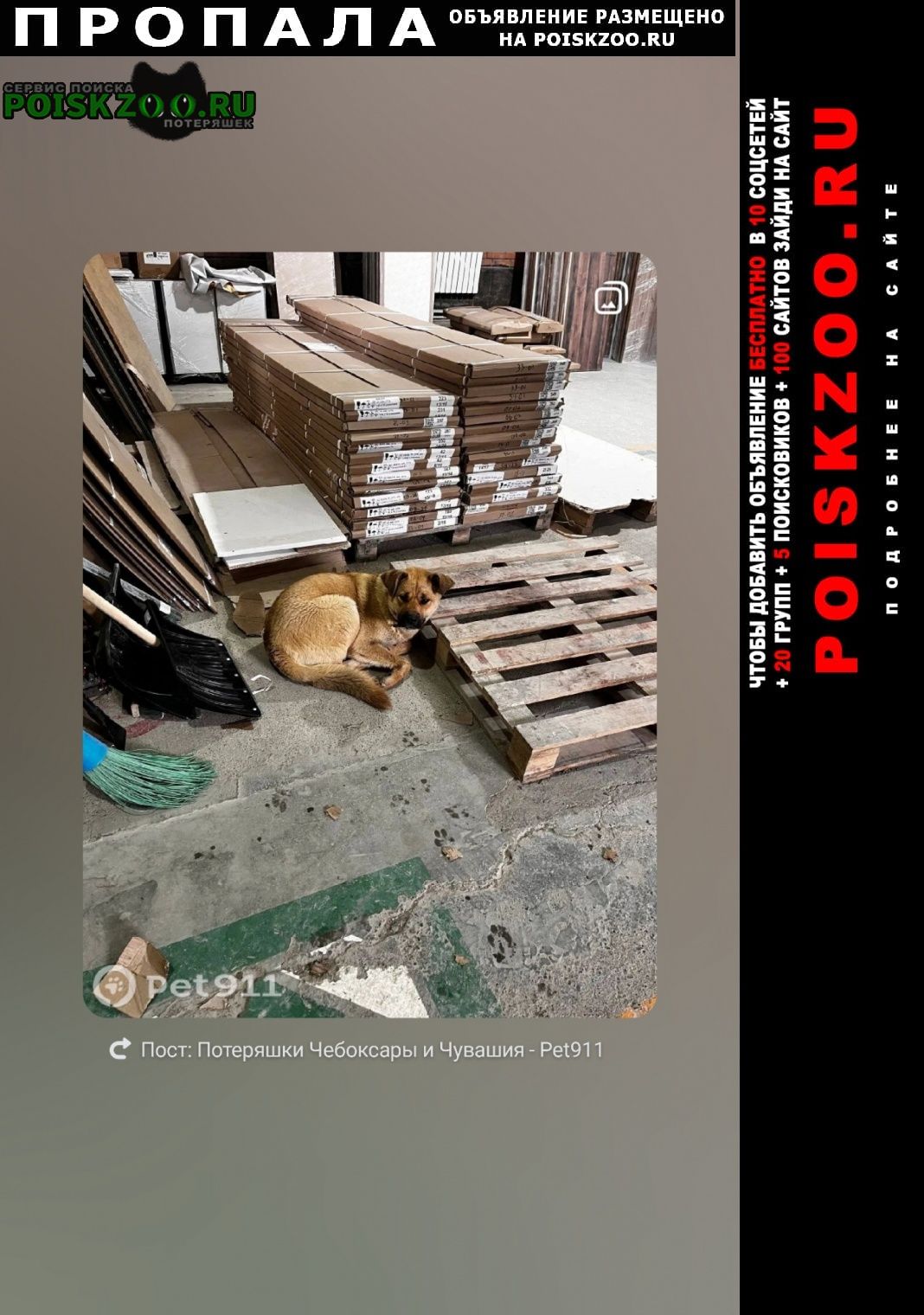 ���� ������� ������